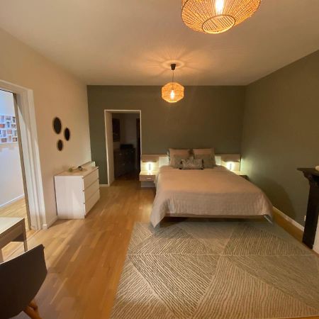 Le Gonzague, Appartement Hyper-Centre Tout Confort. Шарлевиль-Мезьер Экстерьер фото
